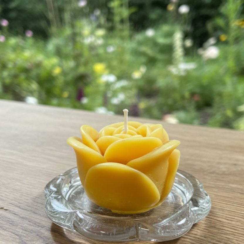 Bienenwachskerze Rose auf Glasteller