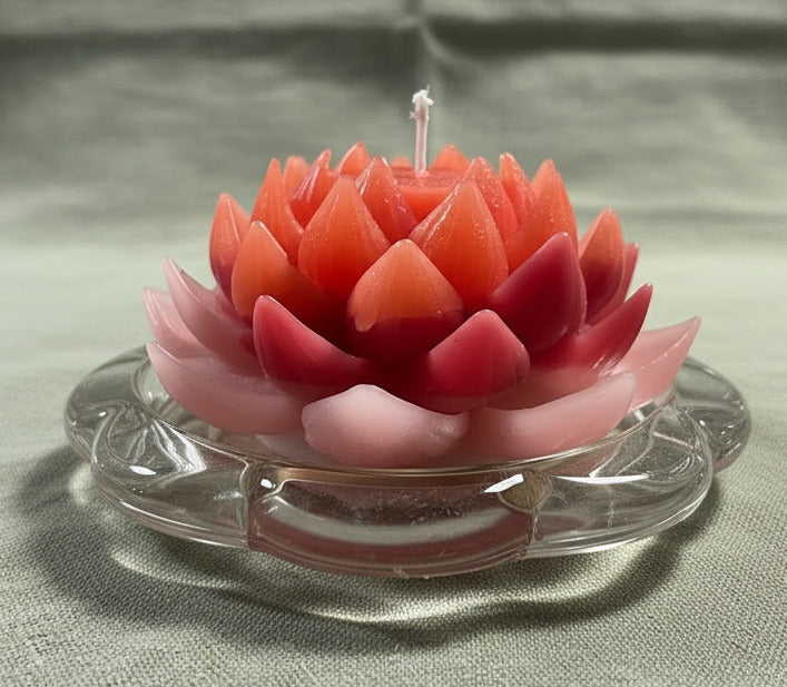 Lotusblüten Kerze in Rosa und Orange auf Glasuntersetzer als dekorative Blütenkerze